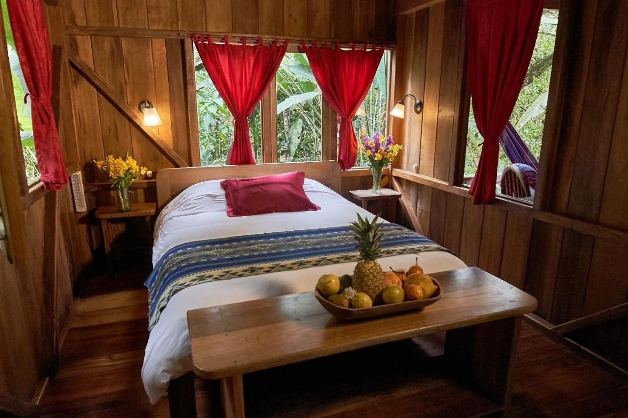 Casa Divina Eco Lodge Mindo Bagian luar foto