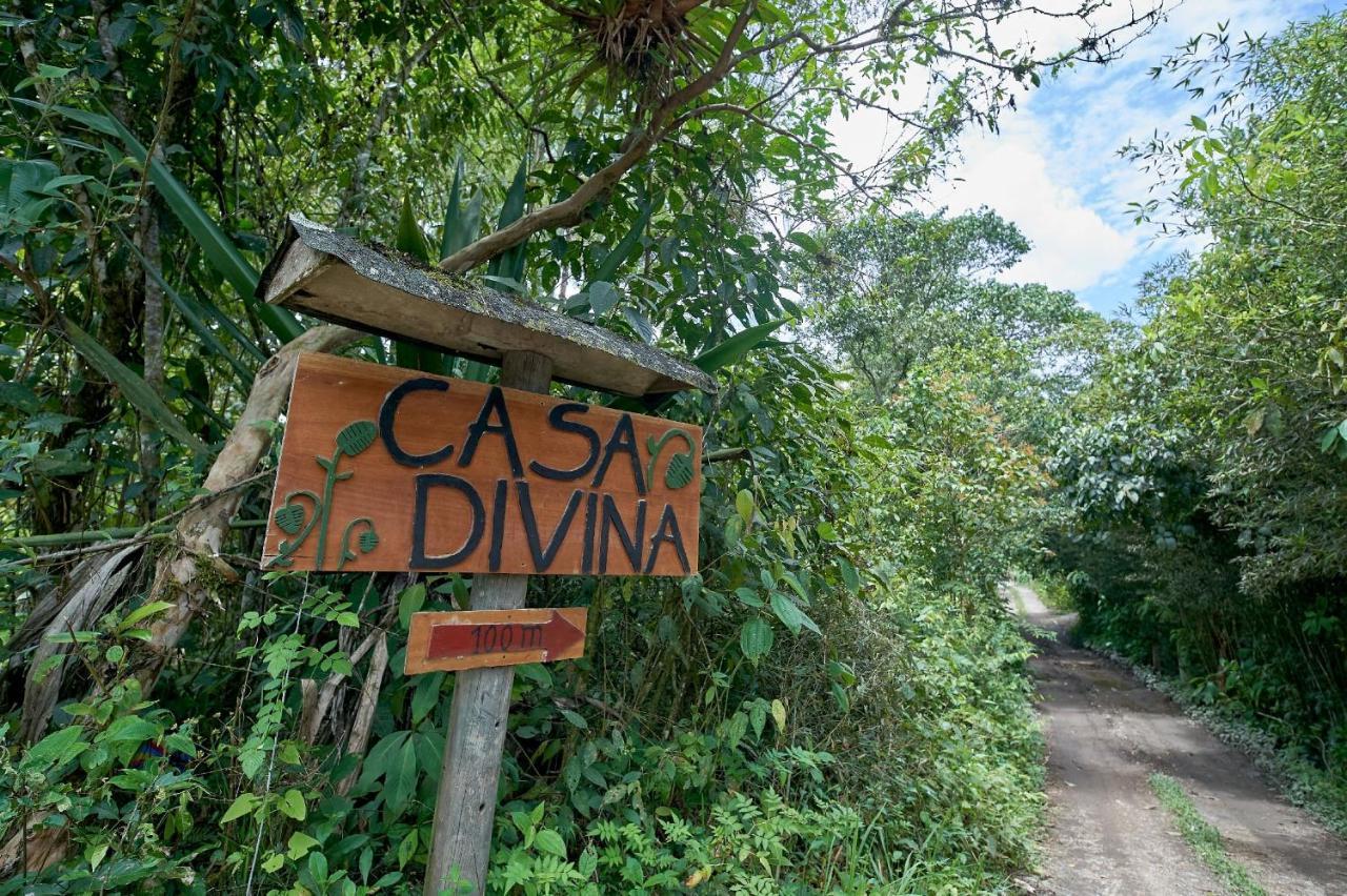 Casa Divina Eco Lodge Mindo Bagian luar foto