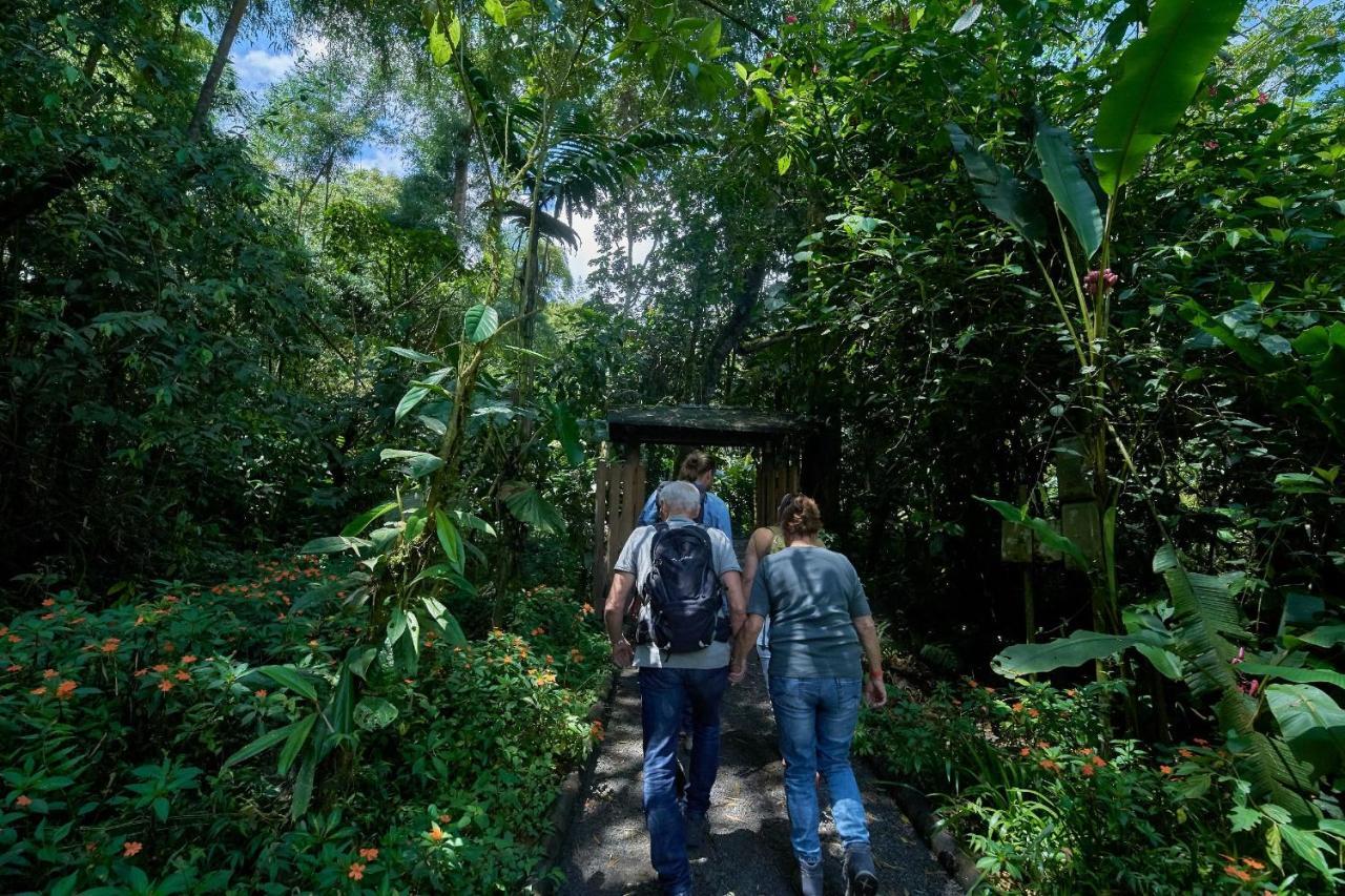 Casa Divina Eco Lodge Mindo Bagian luar foto