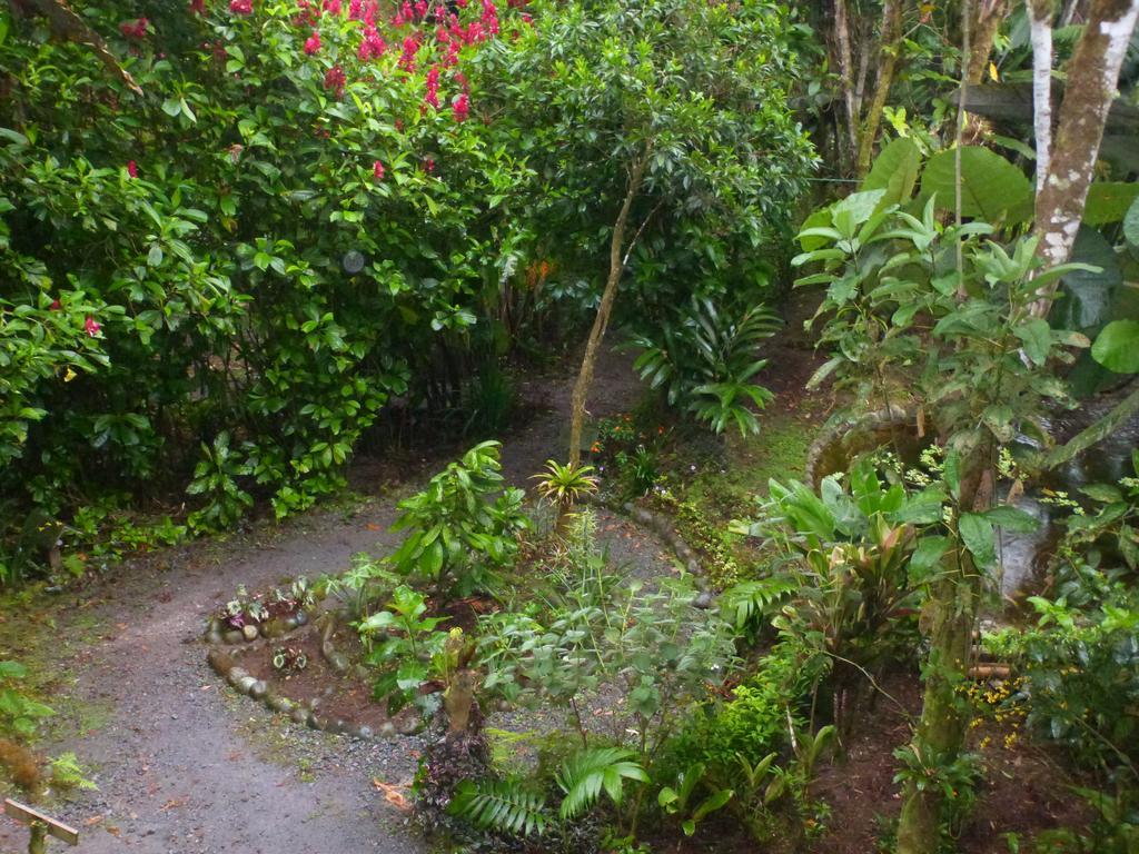 Casa Divina Eco Lodge Mindo Bagian luar foto
