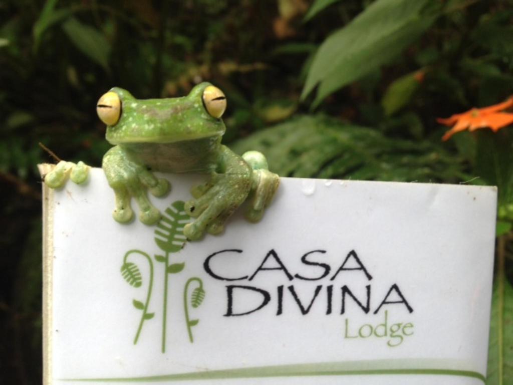 Casa Divina Eco Lodge Mindo Bagian luar foto