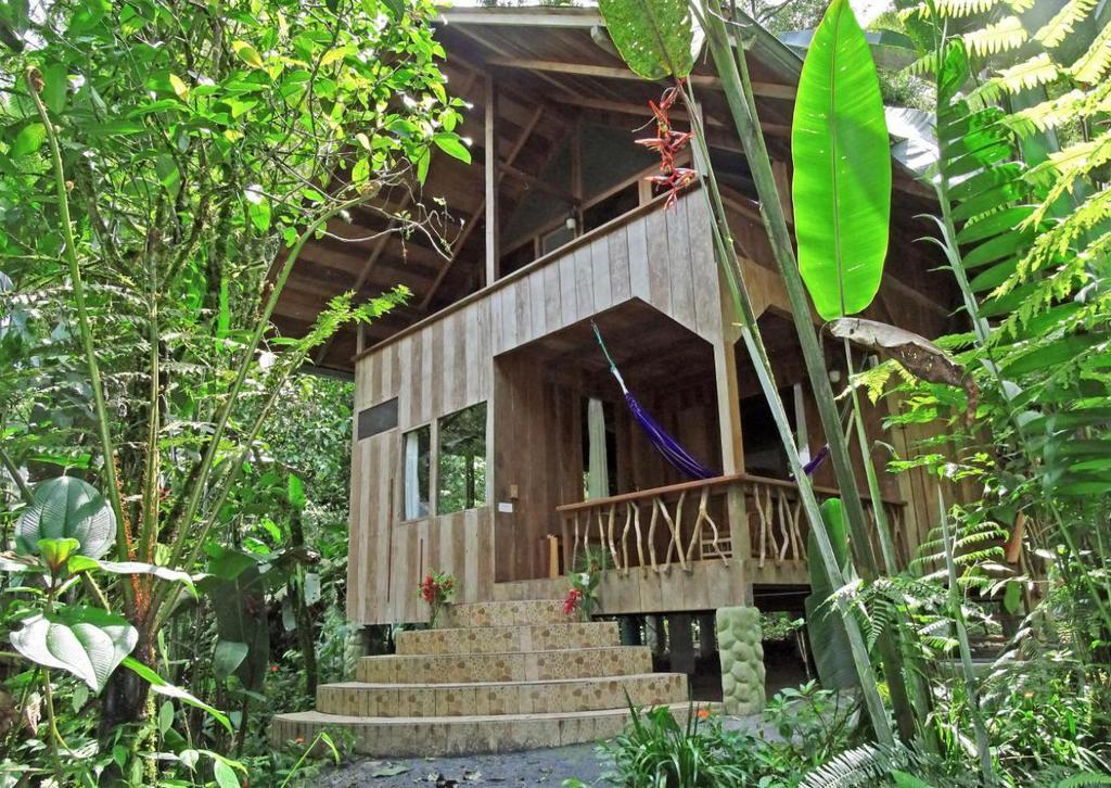Casa Divina Eco Lodge Mindo Bagian luar foto