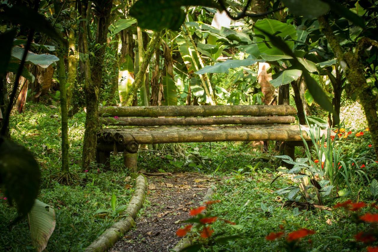 Casa Divina Eco Lodge Mindo Bagian luar foto