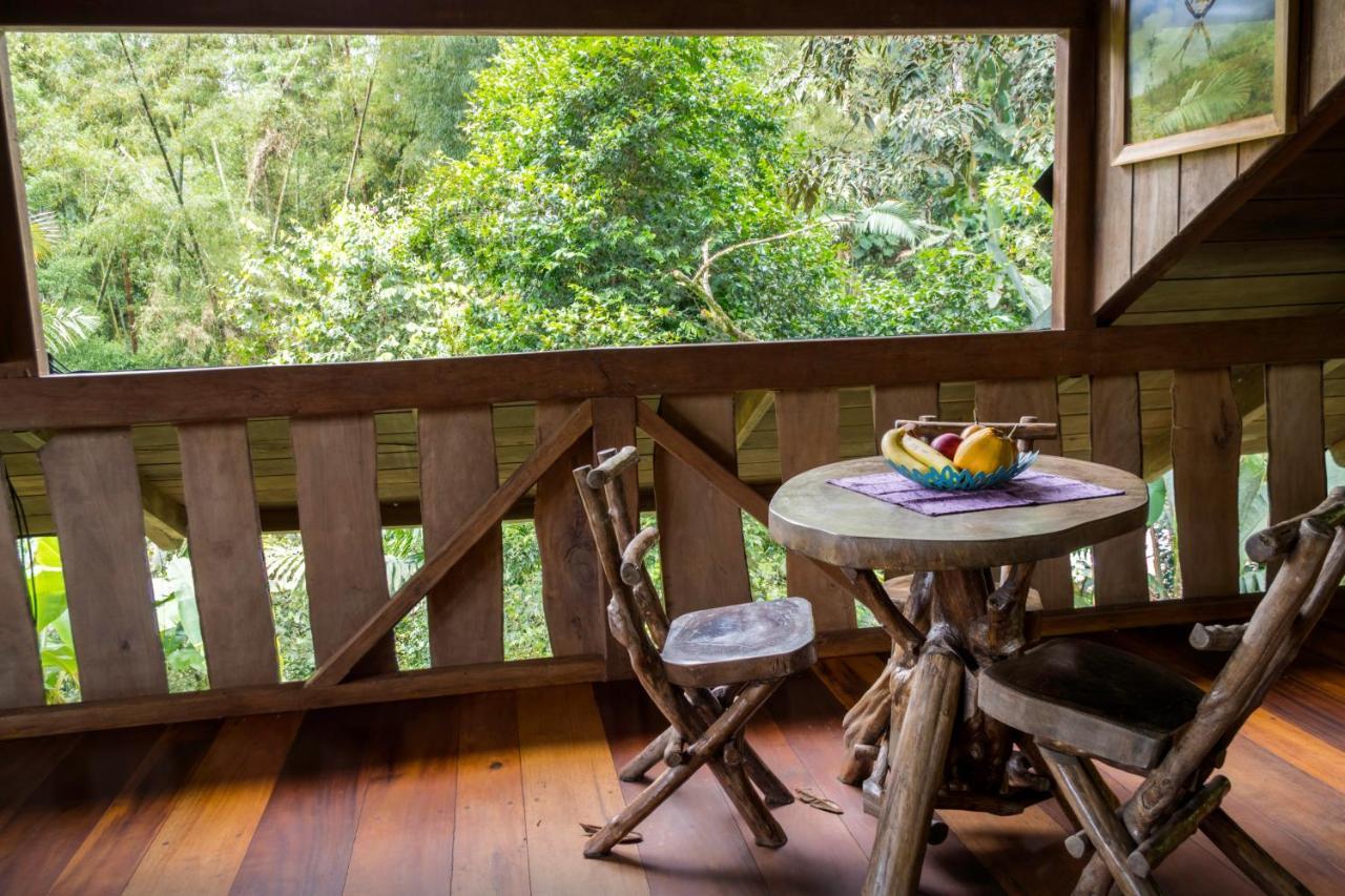 Casa Divina Eco Lodge Mindo Bagian luar foto